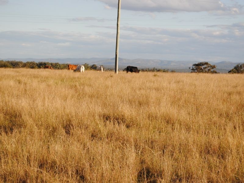 Lot 3 corn Freestone and Ogilvie Roads, Warwick QLD 4370