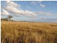 Lot 3 corn Freestone and Ogilvie Roads, Warwick QLD 4370