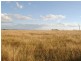 Lot 3 corn Freestone and Ogilvie Roads, Warwick QLD 4370