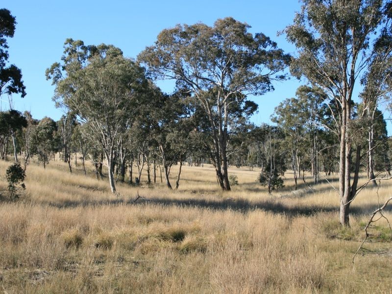 Lot 232 Loloma Road, Warwick QLD 4370