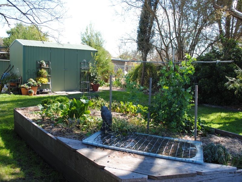 39 Myrtle Avenue, Warwick QLD 4370