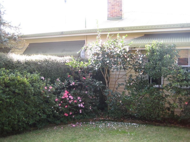 92 High Street, Stanthorpe QLD 4380
