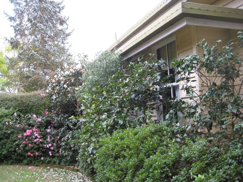 92 High Street, Stanthorpe QLD 4380