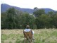 Lot 23 Off Top Swanfels Road, Warwick QLD 4370