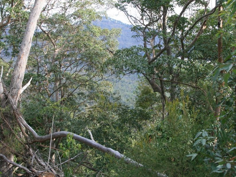 Lot 23 Off Top Swanfels Road, Warwick QLD 4370