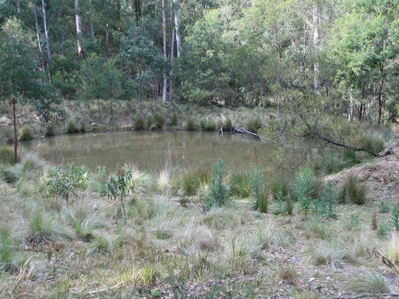 Lot 23 Off Top Swanfels Road, Warwick QLD 4370