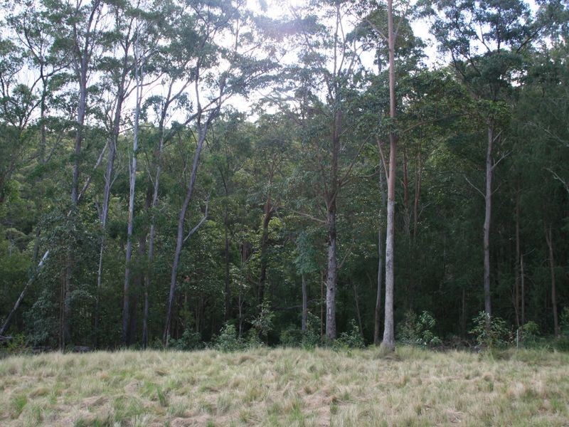 Lot 23 Off Top Swanfels Road, Warwick QLD 4370