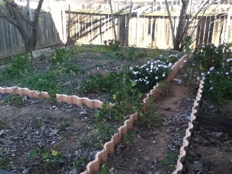 9 Kidman Drive, Warwick QLD 4370