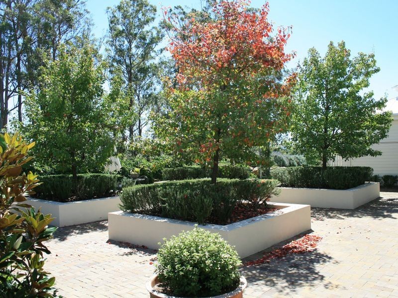 Lot 23 & 1 Blue Pines Mt Lindesay Road, Liston NSW 2372