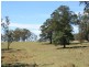 Lot 23 & 1 Blue Pines Mt Lindesay Road, Liston NSW 2372