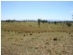 Lot 23 & 1 Blue Pines Mt Lindesay Road, Liston NSW 2372