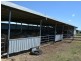 Briley Par Yangan-Killarney Road via, Warwick QLD 4370