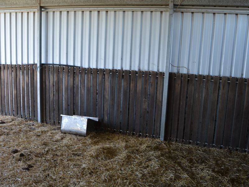 Briley Par Yangan-Killarney Road via, Warwick QLD 4370