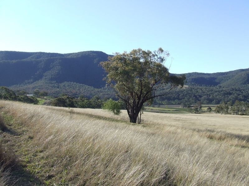 Twin Pines Top Swanfels Road, Swanfels QLD 4371