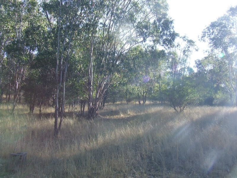 Twin Pines Top Swanfels Road, Swanfels QLD 4371