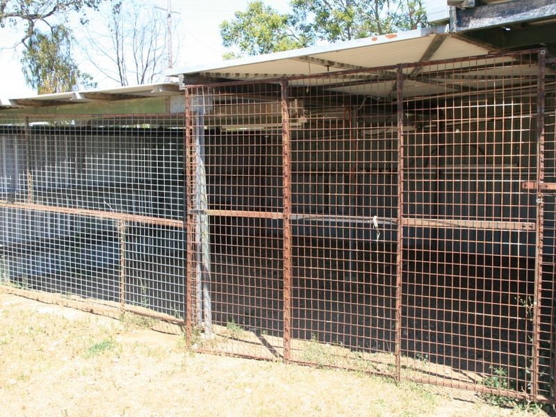 41 Perceval St, Leyburn QLD 4365