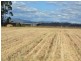 71 Imrays Road Willowvale, Warwick QLD 4370