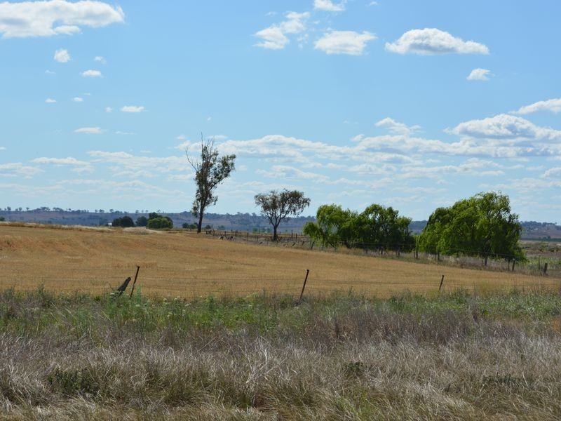 71 Imrays Road Willowvale, Warwick QLD 4370