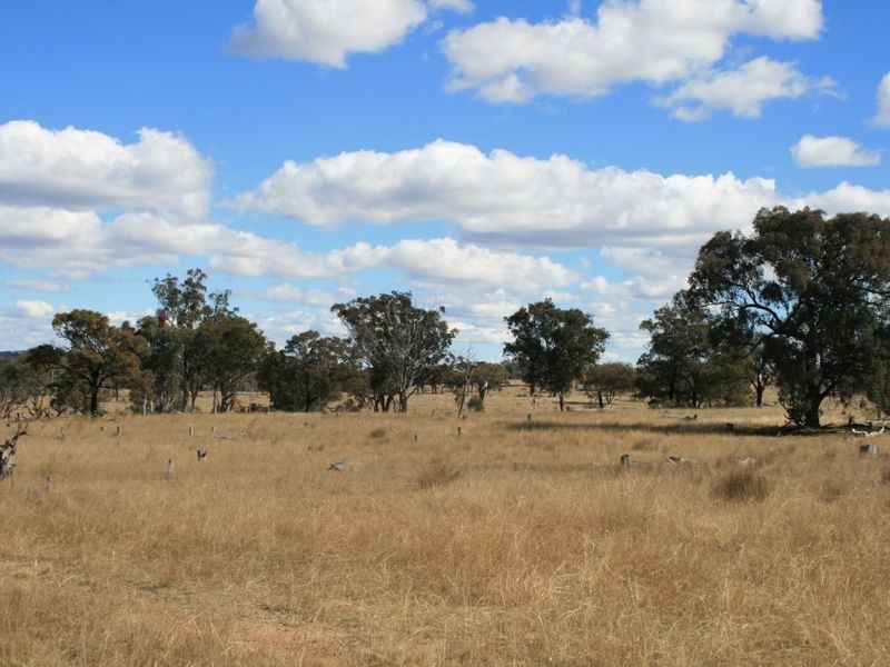 Bendee Springdale Road, Stanthorpe QLD 4380