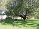 Bendee Springdale Road, Stanthorpe QLD 4380
