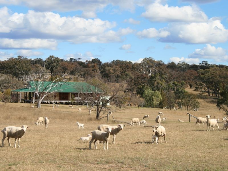 Bendee Springdale Road, Stanthorpe QLD 4380