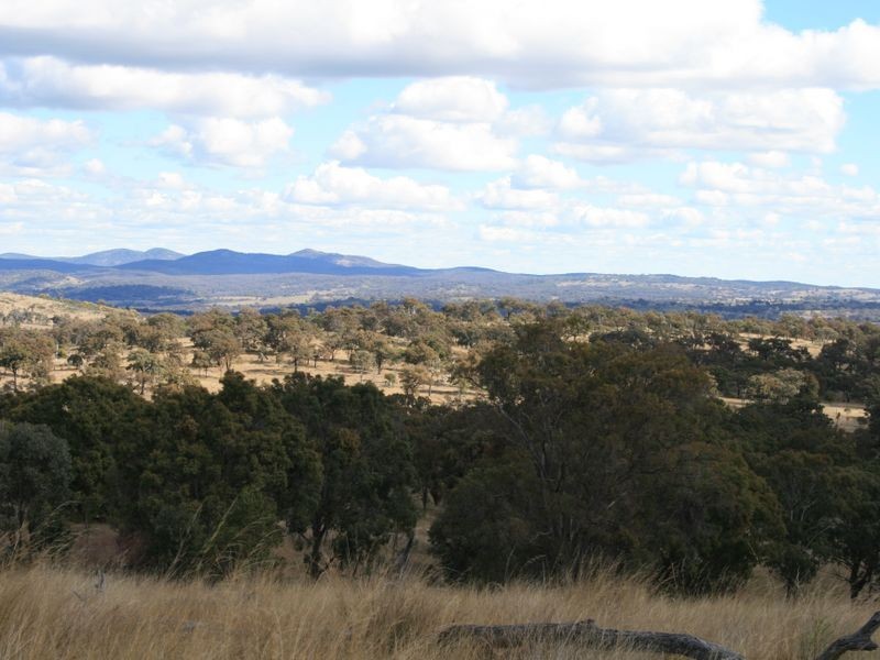 Bendee Springdale Road, Stanthorpe QLD 4380