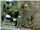525 Yangan Killarney Road, Emu Vale QLD 4371