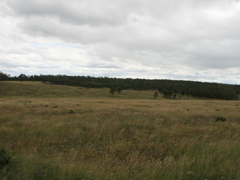 Lot 452 Mullins Road, Warwick QLD 4370