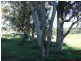 Lot 58 Killarney-Barlows Gate Road Elbow Valley, Killarney QLD 4373