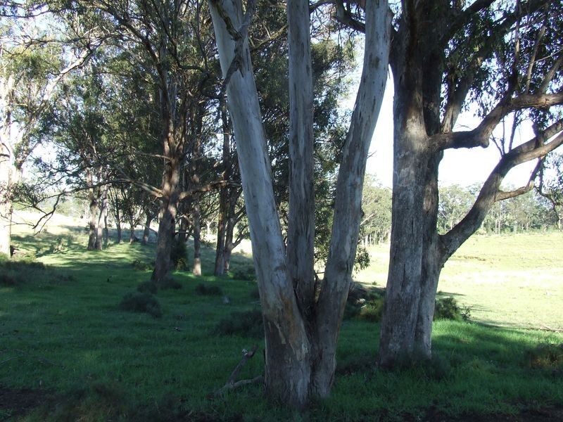 Lot 58 Killarney-Barlows Gate Road Elbow Valley, Killarney QLD 4373