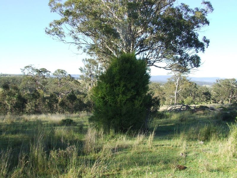 Lot 58 Killarney-Barlows Gate Road Elbow Valley, Killarney QLD 4373