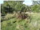 Lot 58 Killarney-Barlows Gate Road Elbow Valley, Killarney QLD 4373