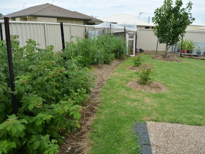 79 East Street, Warwick QLD 4370