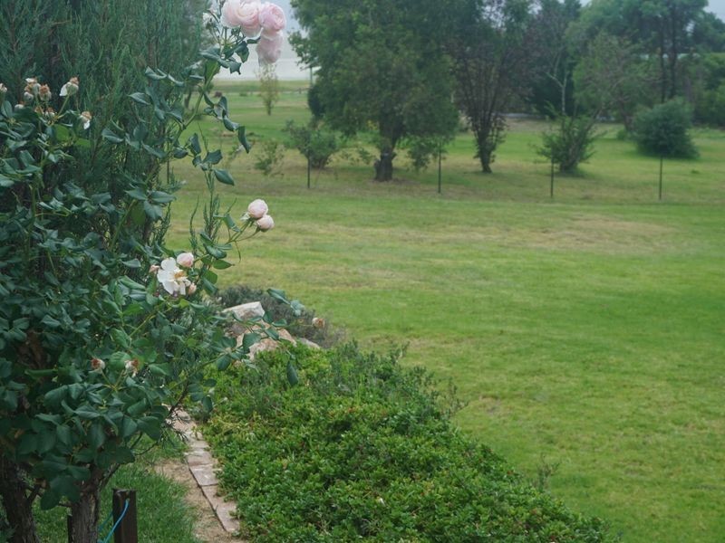 60 Connor Street, Stanthorpe QLD 4380