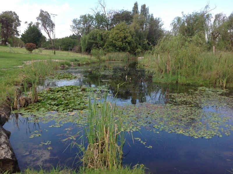 60 Connor Street, Stanthorpe QLD 4380