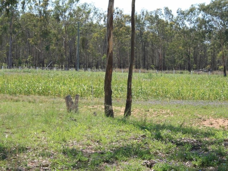 Warwick QLD 4370
