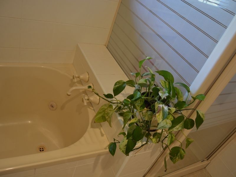 435 Glen Road, Warwick QLD 4370