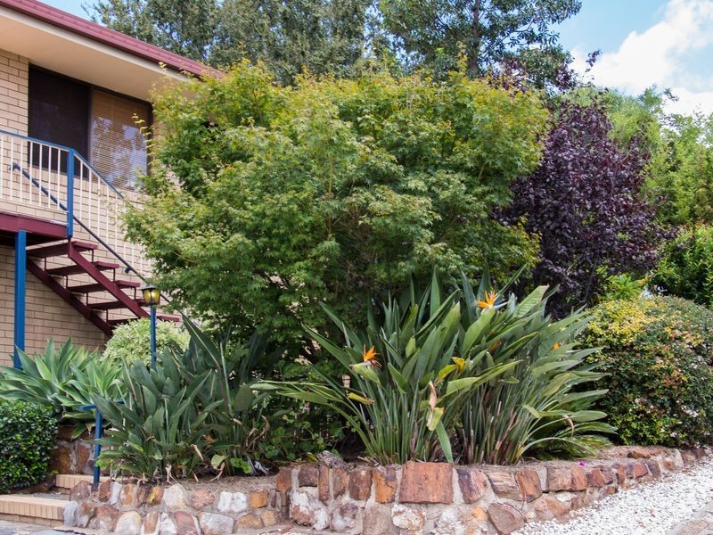 329 Bracker Road, Warwick QLD 4370