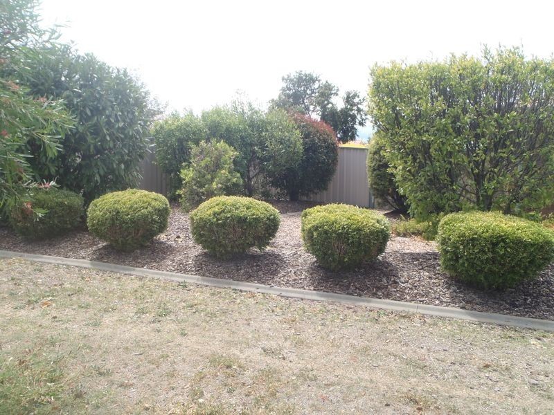 29 Flynn Drive, Warwick QLD 4370