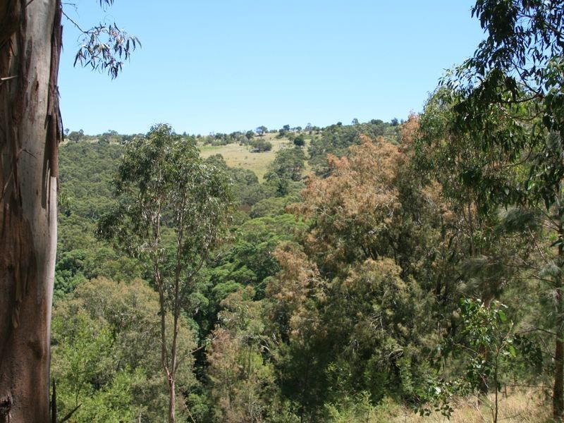 Lot 94 Sunday Plains Road, Clintonvale QLD 4370