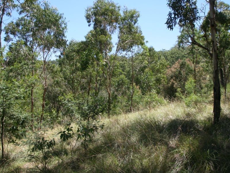 Lot 94 Sunday Plains Road, Clintonvale QLD 4370