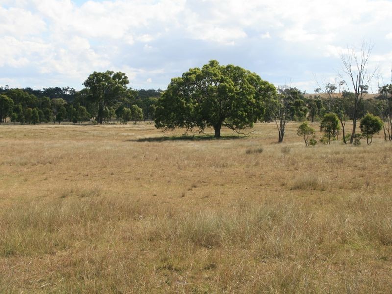 Lot 230 Mt Janet Road Dalveen via, Warwick QLD 4370