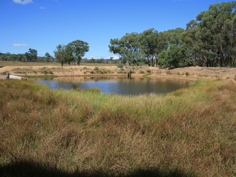 Lot 230 Mt Janet Road Dalveen via, Warwick QLD 4370