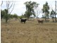 Lot 230 Mt Janet Road Dalveen via, Warwick QLD 4370