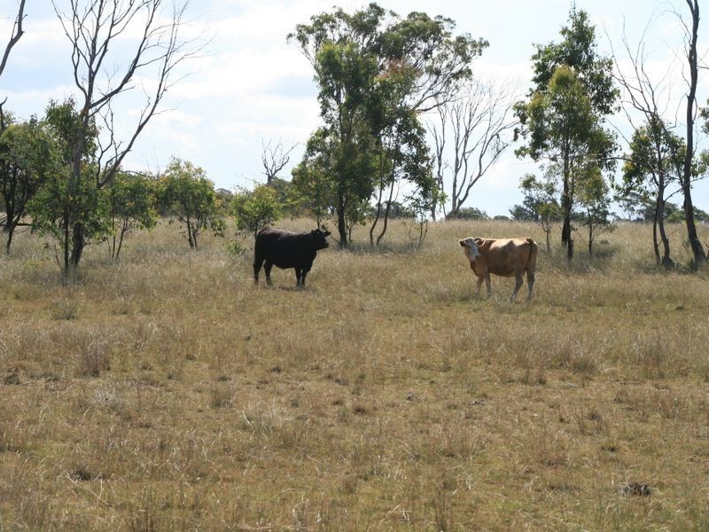 Lot 230 Mt Janet Road Dalveen via, Warwick QLD 4370