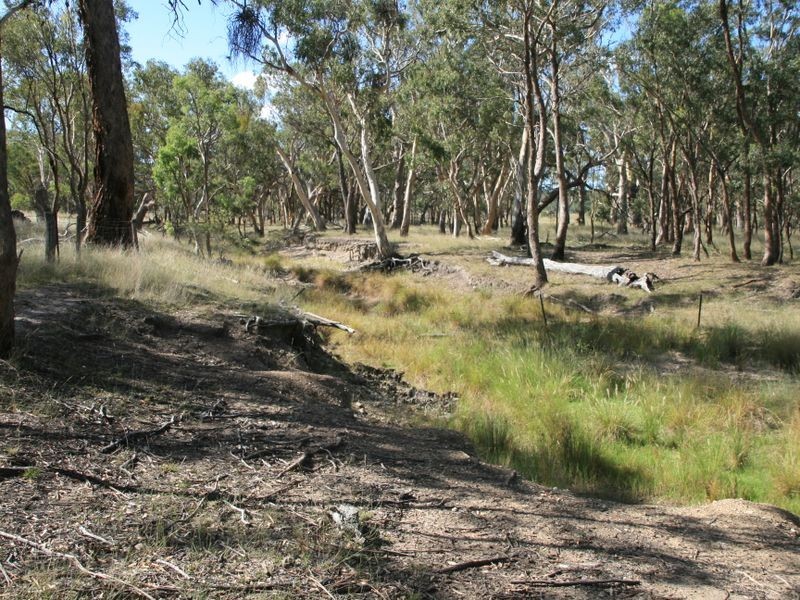Lot 230 Mt Janet Road Dalveen via, Warwick QLD 4370
