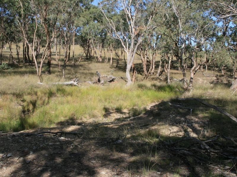 Lot 230 Mt Janet Road Dalveen via, Warwick QLD 4370