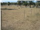 Lot 230 Mt Janet Road Dalveen via, Warwick QLD 4370