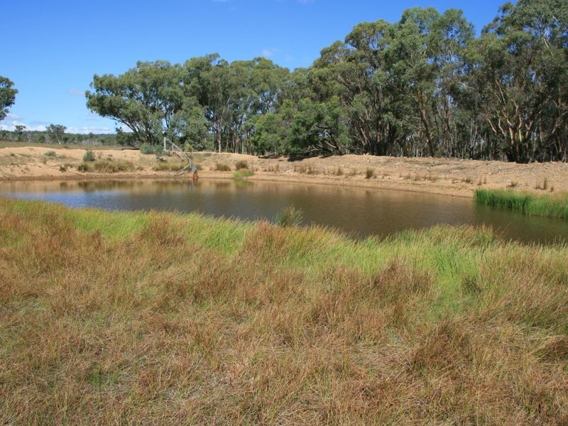 Lot 230 Mt Janet Road Dalveen via, Warwick QLD 4370