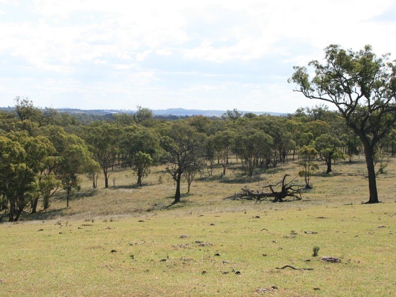 Lot 230 Mt Janet Road Dalveen via, Warwick QLD 4370